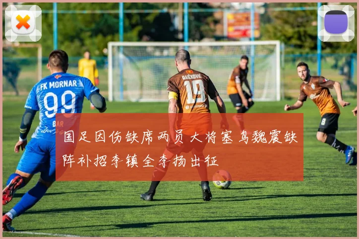 国足因伤缺席两员大将塞鸟魏震缺阵补招李镇全李扬出征