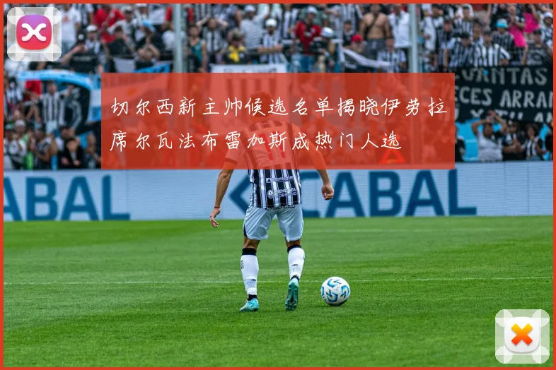 切尔西新主帅候选名单揭晓伊劳拉席尔瓦法布雷加斯成热门人选
